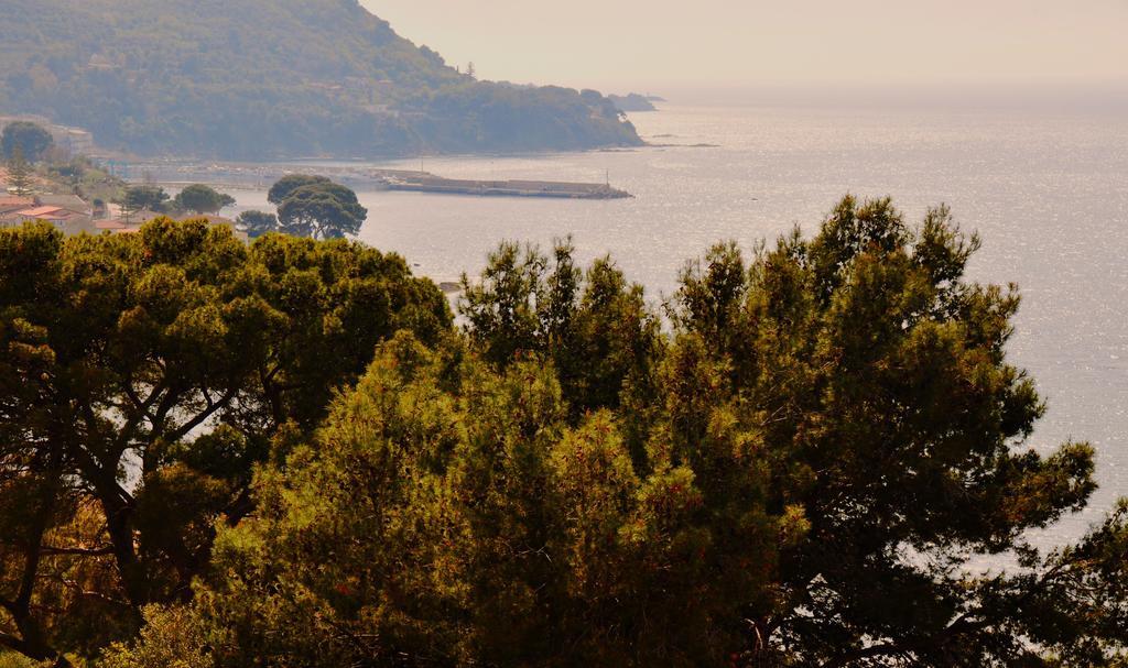 Villa Laura Sea View Apartments Santa Maria di Castellabate Eksteriør billede
